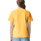 Comfort Colors Adult Heavyweight T-Shirt (1717)