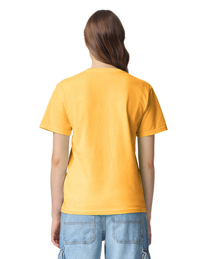 Comfort Colors Adult Heavyweight T-Shirt (1717)