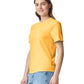 Comfort Colors Adult Heavyweight T-Shirt (1717)