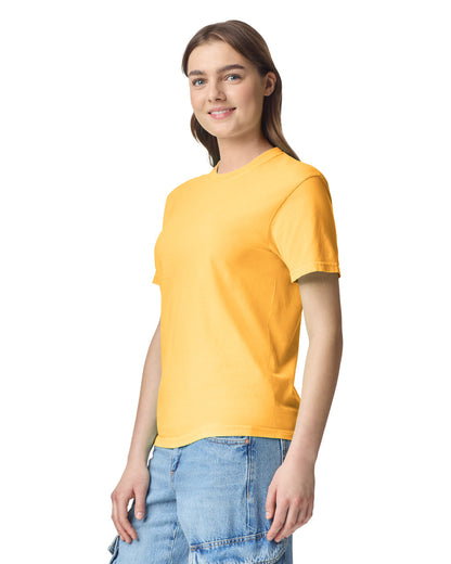 Comfort Colors Adult Heavyweight T-Shirt (1717)