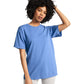 Comfort Colors Adult Heavyweight T-Shirt (1717)