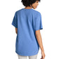 Comfort Colors Adult Heavyweight T-Shirt (1717)