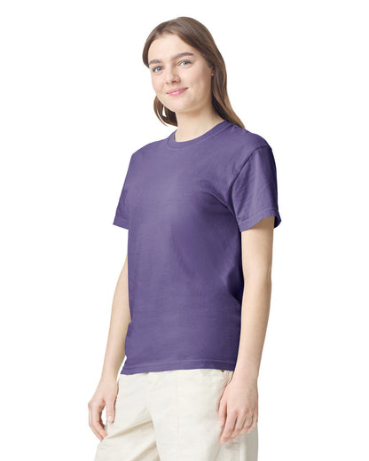Comfort Colors Adult Heavyweight T-Shirt (1717)