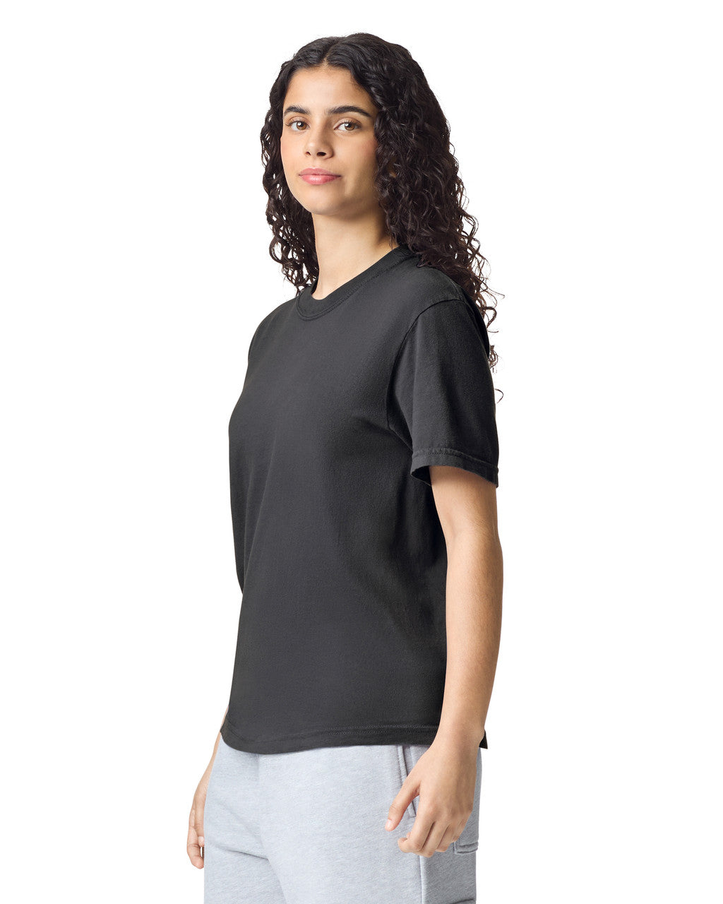 Comfort Colors Adult Heavyweight T-Shirt (1717)