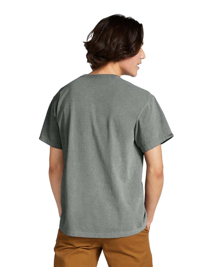 Comfort Colors Adult Heavyweight T-Shirt (1717)