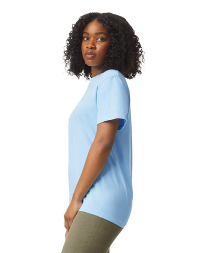 Comfort Colors Adult Heavyweight T-Shirt (1717)
