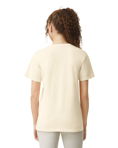 Comfort Colors Adult Heavyweight T-Shirt (1717)