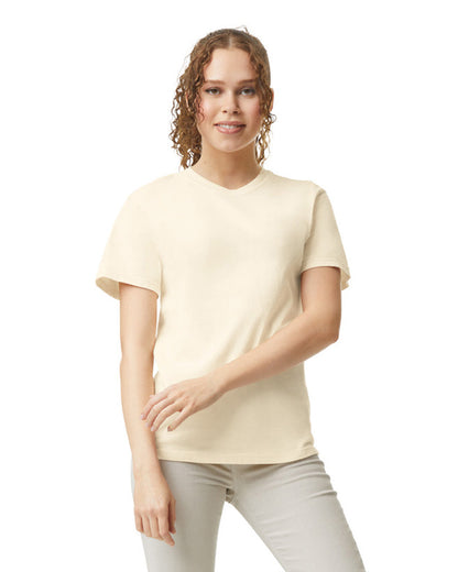 Comfort Colors Adult Heavyweight T-Shirt (1717)