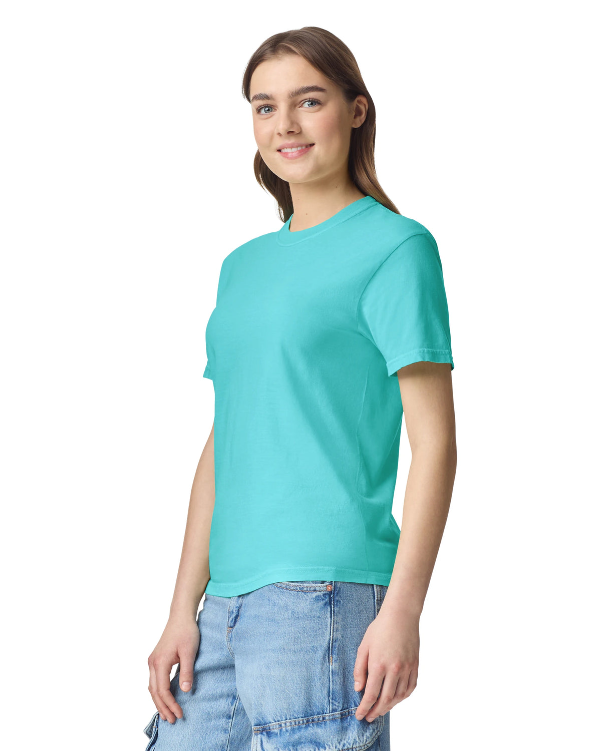 Comfort Colors Adult Heavyweight T-Shirt (1717) 2nd Color