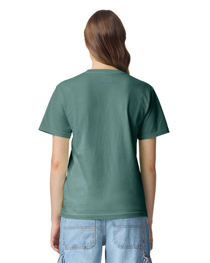 Comfort Colors Adult Heavyweight T-Shirt (1717)