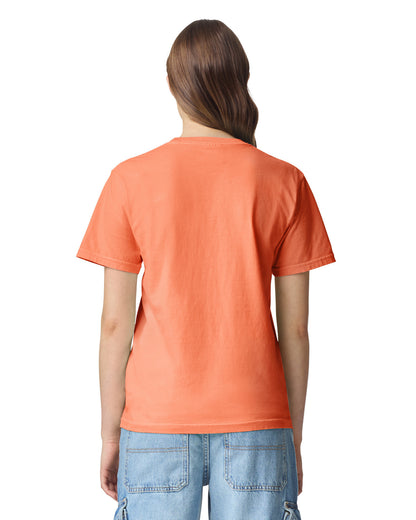 Comfort Colors Adult Heavyweight T-Shirt (1717)