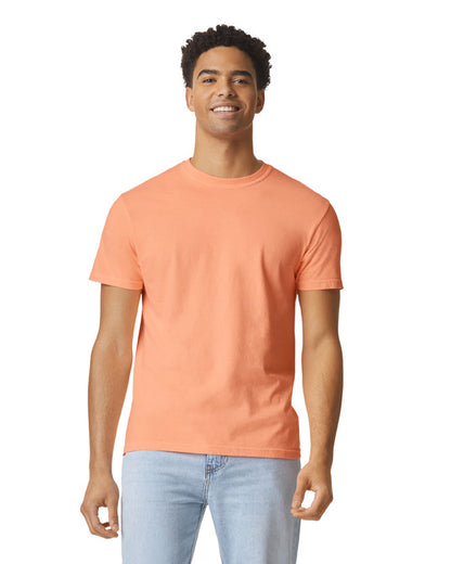 Comfort Colors Adult Heavyweight T-Shirt (1717)