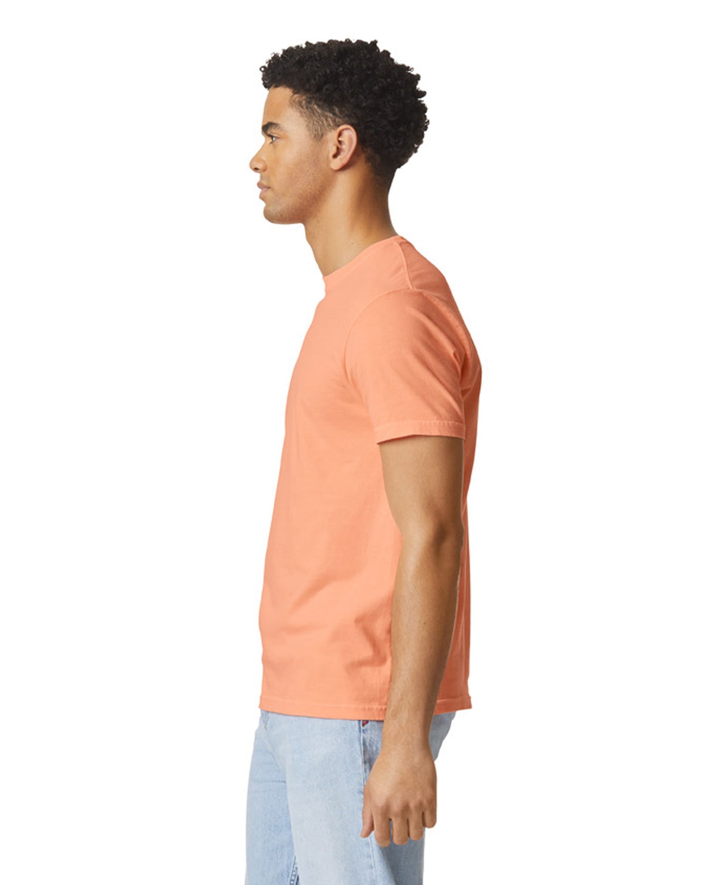 Comfort Colors Adult Heavyweight T-Shirt (1717)