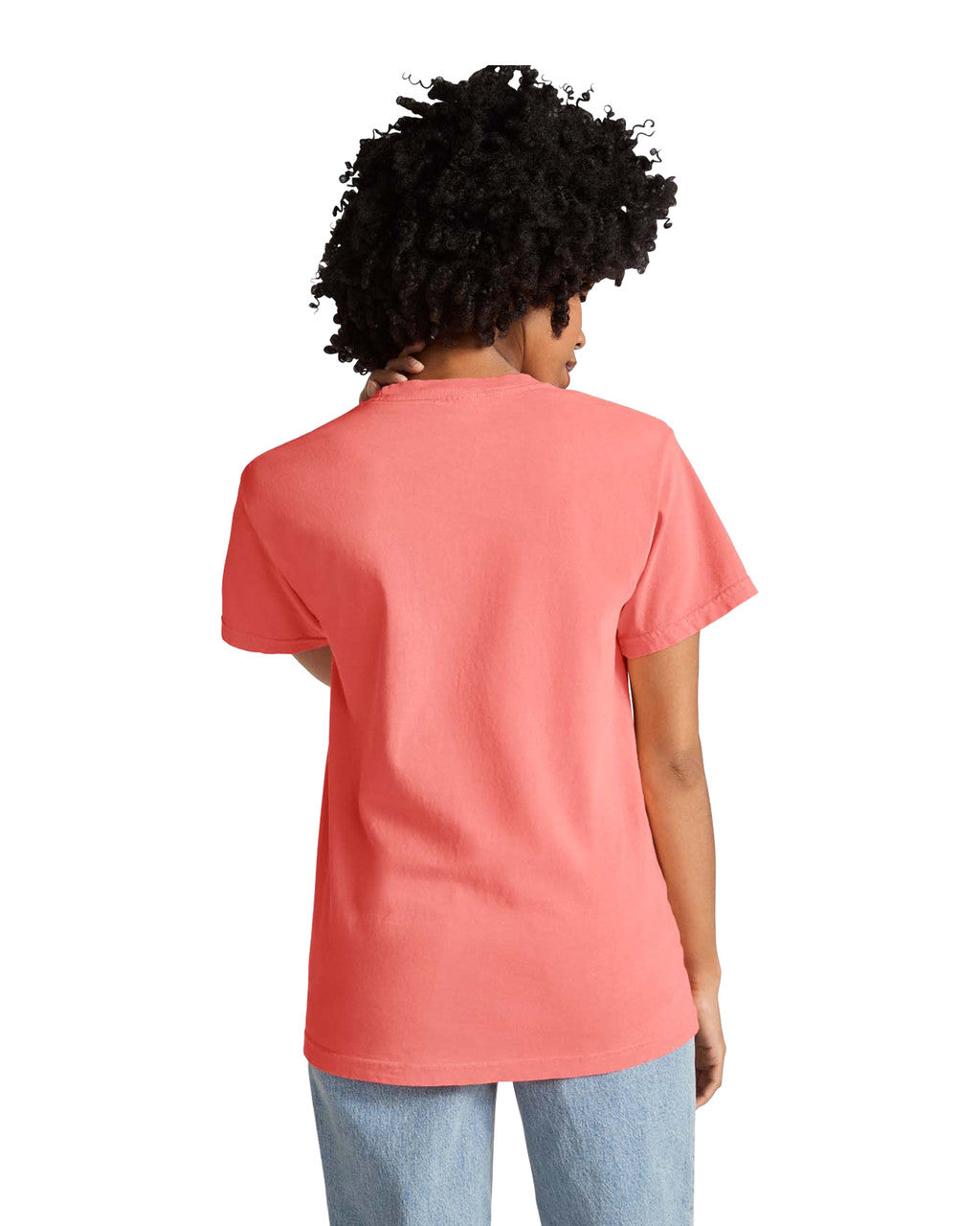 Comfort Colors Adult Heavyweight T-Shirt (1717)