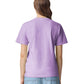 Comfort Colors Adult Heavyweight T-Shirt (1717) 3rd colour