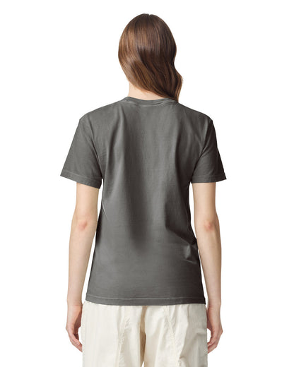 Comfort Colors Adult Heavyweight T-Shirt (1717)