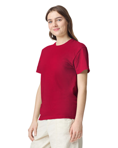 Comfort Colors Adult Heavyweight T-Shirt (1717)