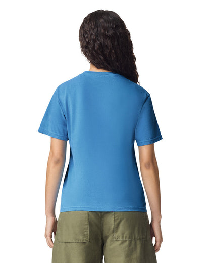 Comfort Colors Adult Heavyweight T-Shirt (1717)