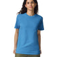 Comfort Colors Adult Heavyweight T-Shirt (1717) 3rd colour