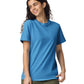 Comfort Colors Adult Heavyweight T-Shirt (1717) 3rd colour
