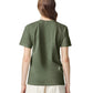 Comfort Colors Adult Heavyweight T-Shirt (1717) 3rd colour