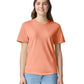 Comfort Colors Adult Heavyweight T-Shirt (1717) 3rd colour