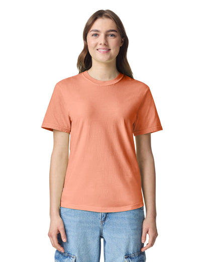 Comfort Colors Adult Heavyweight T-Shirt (1717)