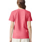 Comfort Colors Adult Heavyweight T-Shirt (1717) 3rd colour