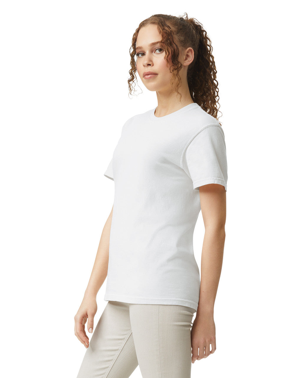 Comfort Colors Adult Heavyweight T-Shirt (1717)