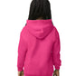 Gildan Youth Hooded Sweatshirt-(18500B)