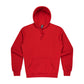 Aussie Pacific Torquay Mens Hoodies (1525)