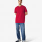 Gildan Ultra Cotton Adult T-Shirt 1st (8 colour )-(2000)