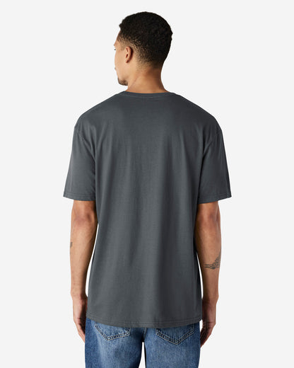 Gildan Soft Style Adult T/S (64000)