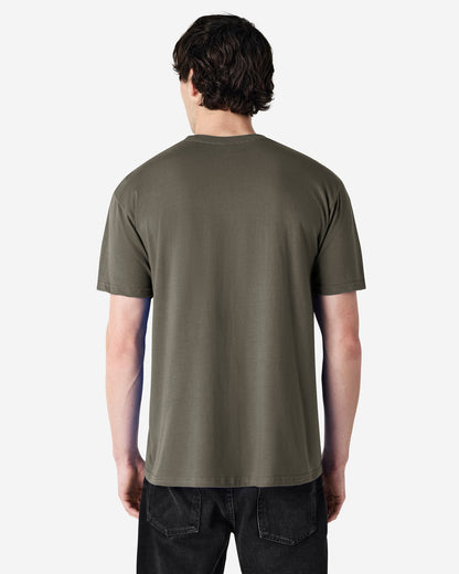 Gildan Soft Style Adult T/S (65000)