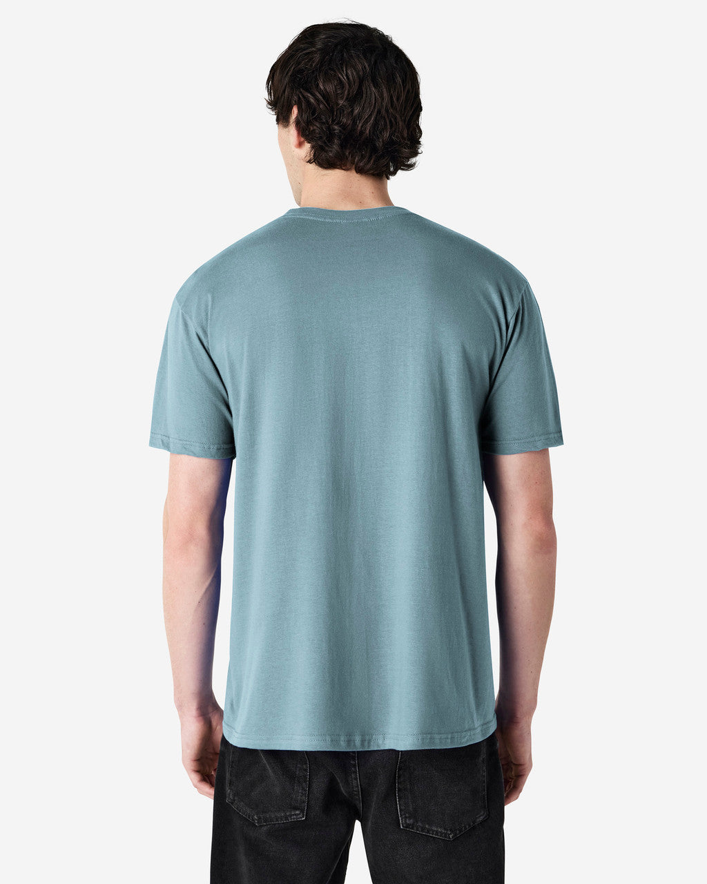 Gildan Soft Style Adult T/S (65000)