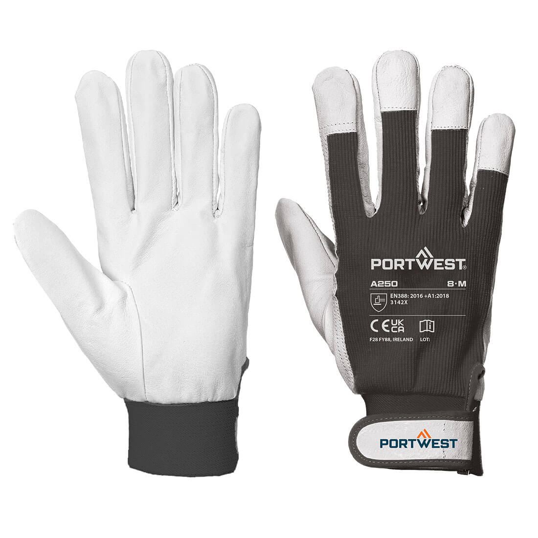 Portwest Tergsus Glove (A250)