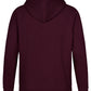 Winning Spirit Men's Fleecy Hoodie (FL07)