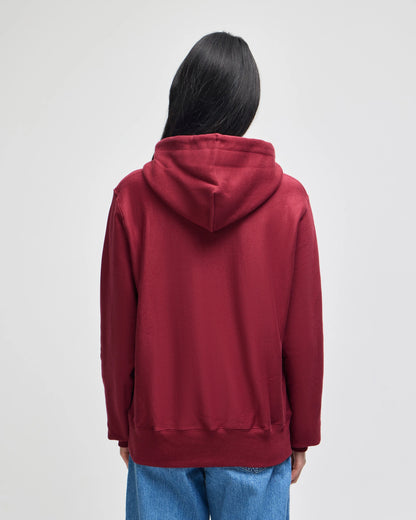 Champion Adult Pullover Hooded Sweatshirt (S101)