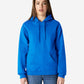 Gildan Softstyle Hooded Sweatshirt (SF500)