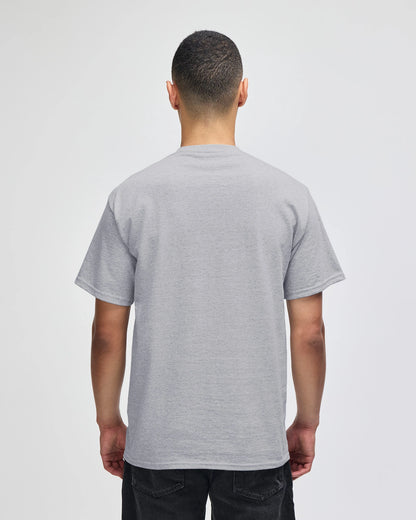 Champion Adult Cotton Jersey T-Shirt (T425)