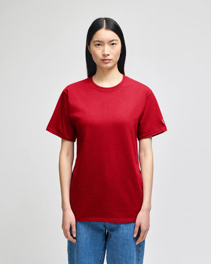 Champion Adult Cotton Jersey T-Shirt (T425)