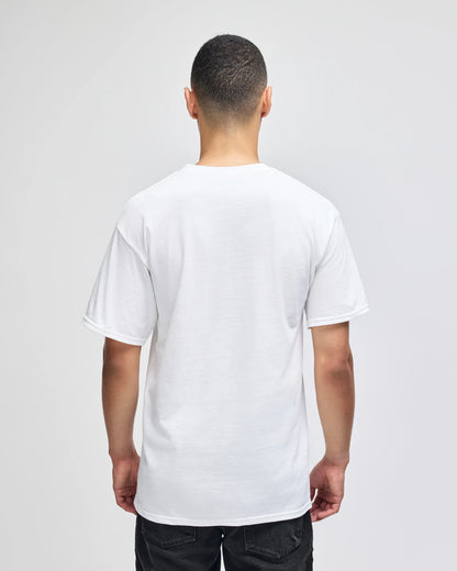 Champion Adult Cotton Jersey T-Shirt (T425)