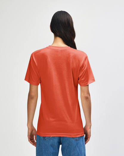 American Apparel Tri-Blend Unisex Track T-Shirt (TR401)