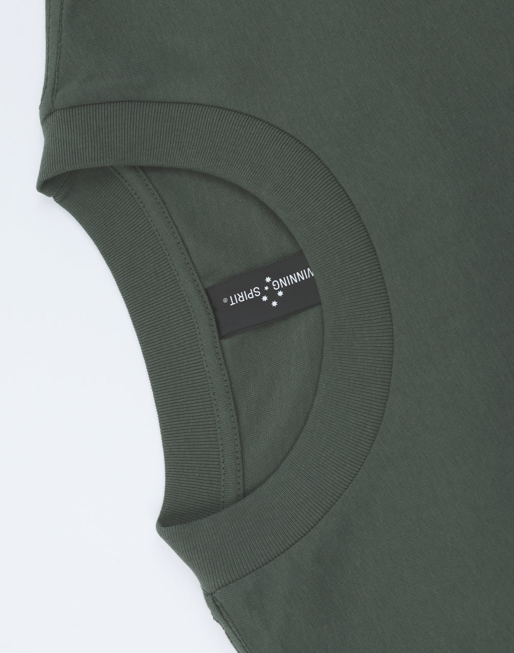 Winning Spirit Unisex Heavy Cotton Oversized Tee (TS50)