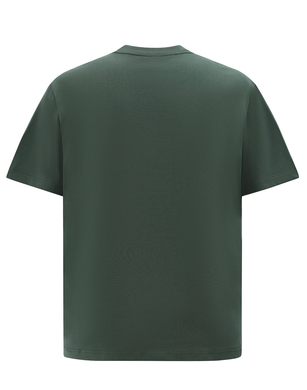 Winning Spirit Unisex Heavy Cotton Oversized Tee (TS50)