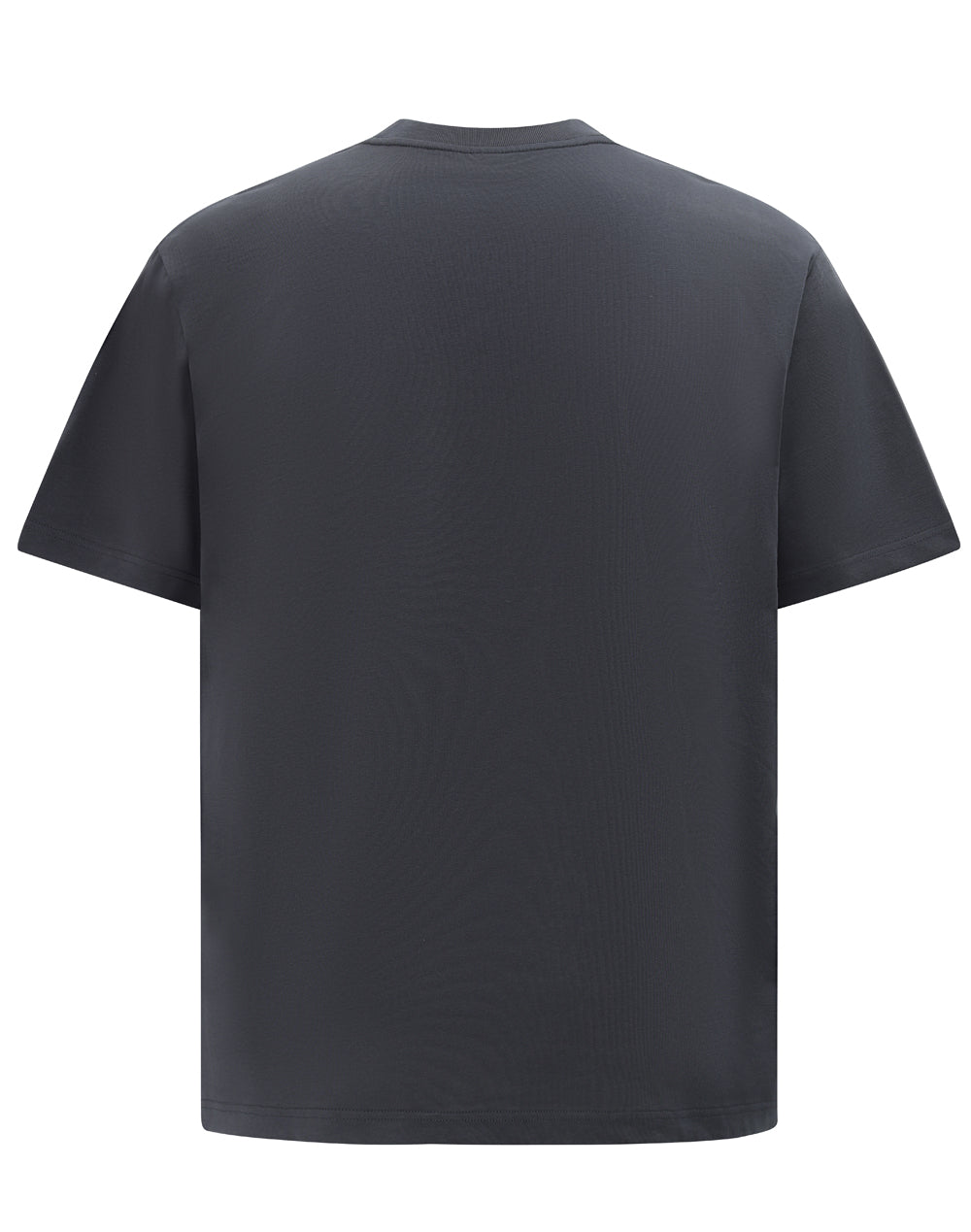 Winning Spirit Unisex Heavy Cotton Oversized Tee (TS50)