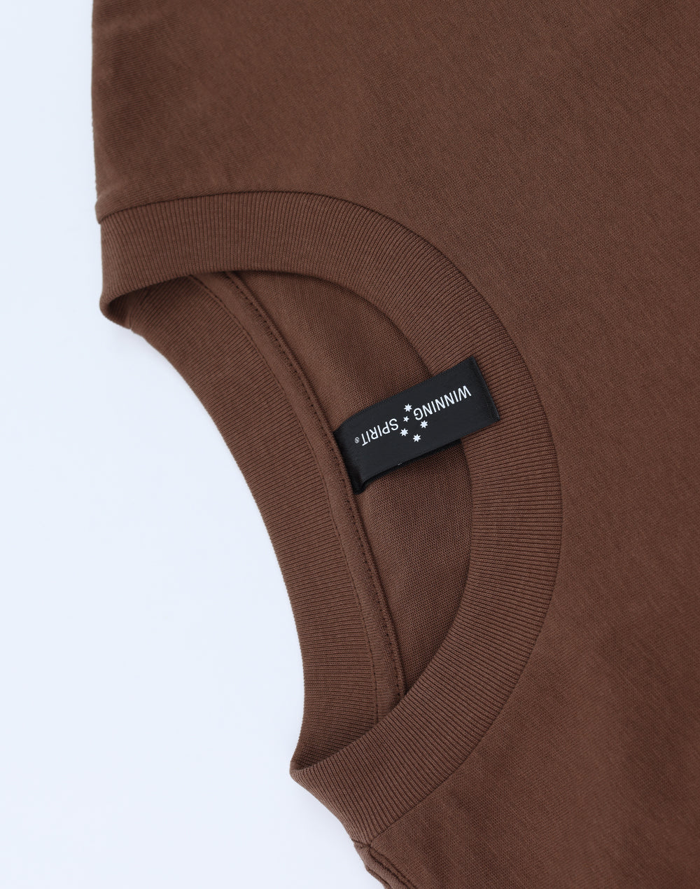 Winning Spirit Unisex Heavy Cotton Oversized Tee (TS50)
