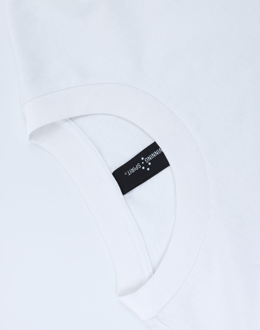 Winning Spirit Unisex Heavy Cotton Oversized Tee (TS50)
