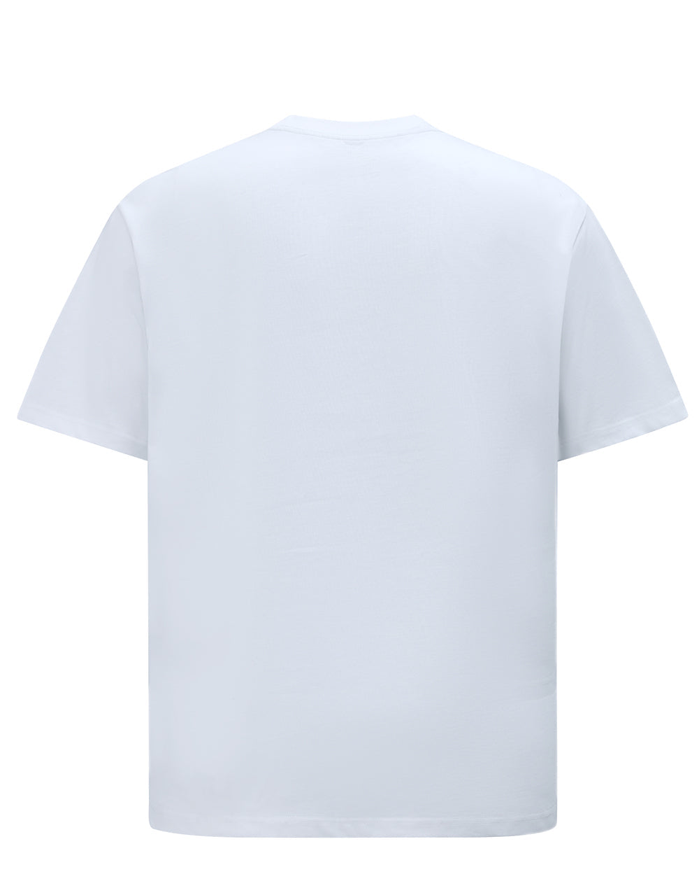 Winning Spirit Unisex Heavy Cotton Oversized Tee (TS50)