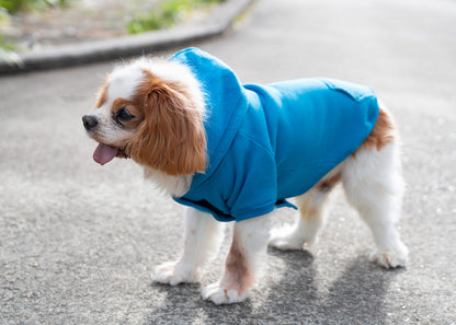 Ramo Dog Hoodies-(F377DG)